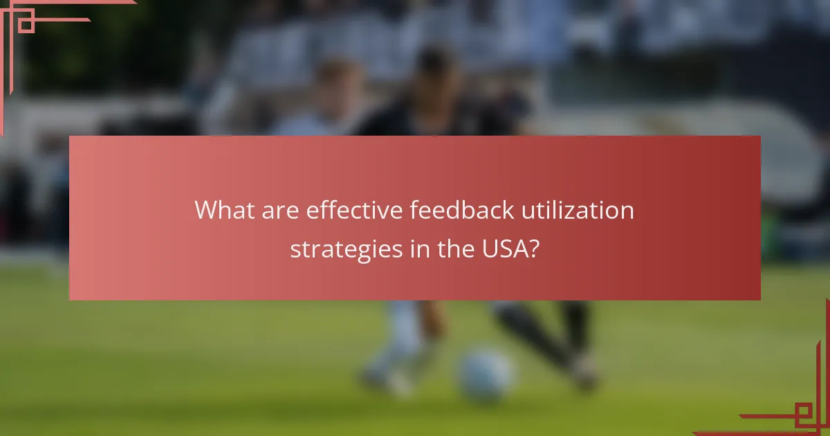 What are effective feedback utilization strategies in the USA?